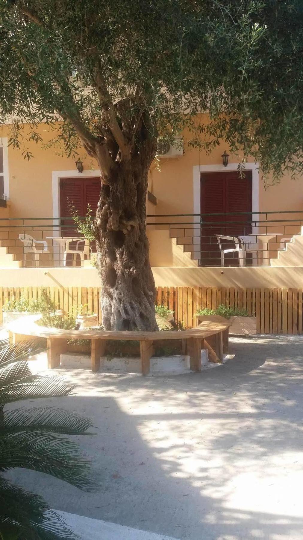 Wilde Rose Hotel ذيسْخا المظهر الخارجي الصورة