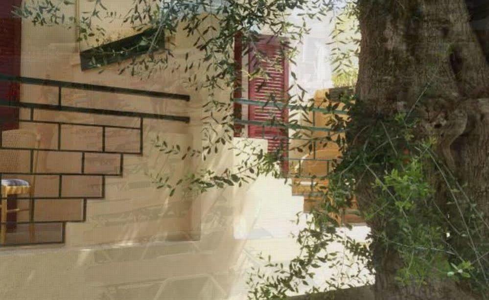 Wilde Rose Hotel ذيسْخا المظهر الخارجي الصورة